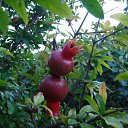 ���� ������, �������, 56 ��� - ��������� 22 ������� 2010 � ������ ��� ����