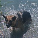 ���� �����, �������, 42 ���� - ��������� 16 �������� 2012 � ������ ���������