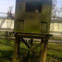 ���� ��op�, ����, 44 ���� - ��������� 25 ��� 2013 � ������ �Woburn Safari Park(Uk)�