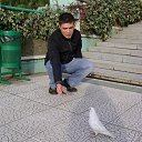 ���� �������, �����-��������� - ��������� 1 ������ 2013 � ������ �������