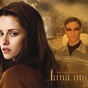 ���� ���������, ������� ��������, 39 ��� - ��������� 16 ������� 2010