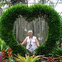 ���� �������, �����, 67 ��� - ��������� 6 ���� 2012 � ������ ���� ����������