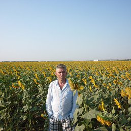 ���������, ����������, 54 ����