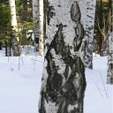 ���� �������, ������������ - ��������� 9 ������� 2011 � ������ ���������� ����