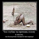 ���� Vi, �������, 49 ��� - ��������� 14 ������� 2012