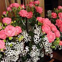 ���� ������ �����, ������, 53 ���� - ��������� 23 ������� 2013 � ������ ���� ����������