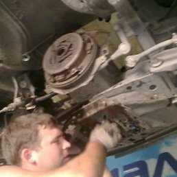 ���� ����, ����������, 43 ���� - ��������� 1 ������ 2011