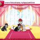  , -, 54  -  19  2010   PetLove