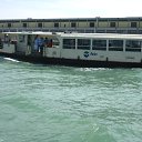 ���� ������, �����-���������, 68 ��� - ��������� 25 ���� 2010 � ������ ������������