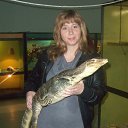 ���� ������, ��������, 41 ��� - ��������� 20 ������ 2012 � ������ ���� ����������