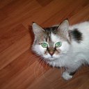 ���� �������, ��������� - ��������� 17 ���� 2011 � ������ ���� ���������