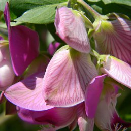 ���� �����, ������, 58 ��� - ��������� 3 ������ 2012