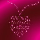 ���� ����), ���������� - ��������� 8 ������� 2009 � ������ �@}-}--�