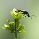 ����, � ��� �� ����? �� ������� ��������� � ��������