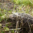 ���� �������, ���������, 69 ��� - ��������� 18 ������� 2011 � ������ ����