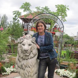 ���� ���������, ������, 41 ��� - ��������� 10 ������� 2010