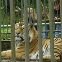  Wit, , 59  -  29  2009   