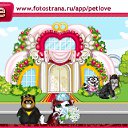  ,  -  22  2010   PetLove