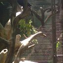 ���� ������, ���������, 41 ��� - ��������� 13 ���� 2011 � ������ ��������� �� ������