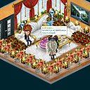  , , 37  -  17  2012   Tropikania