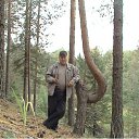 � ������ ������� �� ������� ���� ����������