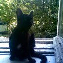 ���� Andygo, ��������� - ��������� 17 ������� 2012 � ������ �Love�