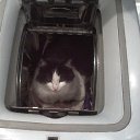 ���� �����, ������ - ��������� 20 ����� 2010 � ������ ���������