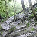 ����� ���������..., �������. �������� �������! �� ������� ���� ����������