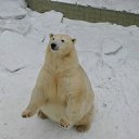 ���� �������, �������, 46 ��� - ��������� 16 ������� 2011