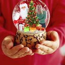 ���� �����, ������ - ��������� 30 ������ 2013 � ������ ���� ����������