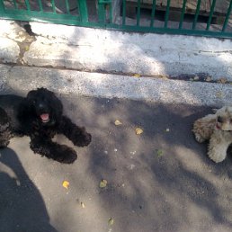 ���� �������, ����, 34 ���� - ��������� 23 ������� 2012