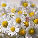  ~_o~, , 62  -  13  2012   