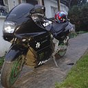 ���� �������, ���������, 33 ���� - ��������� 1 ������� 2013 � ������ ���� ����������