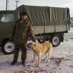 �������� ����������, �������, 74 ����