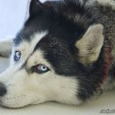  Rita-xd, Kohtla, 26  -  14  2013    