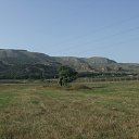  , , 41  -  13  2010   ~  ~