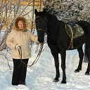 ���� Ne Golosuiu, �����������, 86 ��� - ��������� 31 ������ 2012 � ������ ���� ����������
