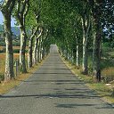 ���� �������, ��������, 57 ��� - ��������� 1 ��� 2010 � ������ ������� ��������