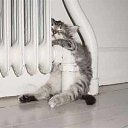 ������ ����� �������... �� ������� �MIAUUUUU�