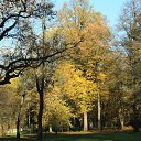 ���� ����, �����-���������, 56 ��� - ��������� 23 ������� 2012 � ������ ������ .������ ������