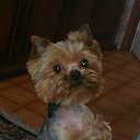 ���� Viktor, ������, 59 ��� - ��������� 24 ����� 2013 � ������ ���� ����������