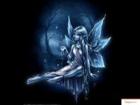 ���� �����, ������ - ��������� 31 ����� 2011