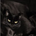 ���� Tatiana, ������, 49 ��� - ��������� 1 ������ 2013 � ������ ������ ��������