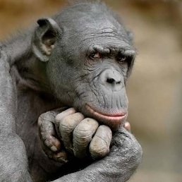 ���� ������, ��������, 67 ��� - ��������� 3 ������� 2012