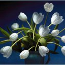 ���� Smile, ������, 55 ��� - ��������� 20 ������ 2010 � ������ ���� ����� � ������