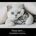 ���� �����, �����������, 45 ��� - ��������� 11 ������ 2010 � ������ ������