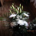  , -, 57  -  23  2012      !!!