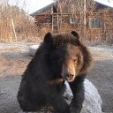 ���� ������, �����������, 53 ���� - ��������� 28 ������� 2012