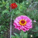 ���� �����, ���������, 40 ��� - ��������� 6 ������� 2012 � ������ �������