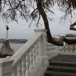 ���� ������, ����������� - ��������� 5 ���� 2011